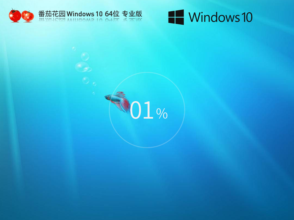 【品牌专属】番茄花园 Windows10 64位 中文专业版 